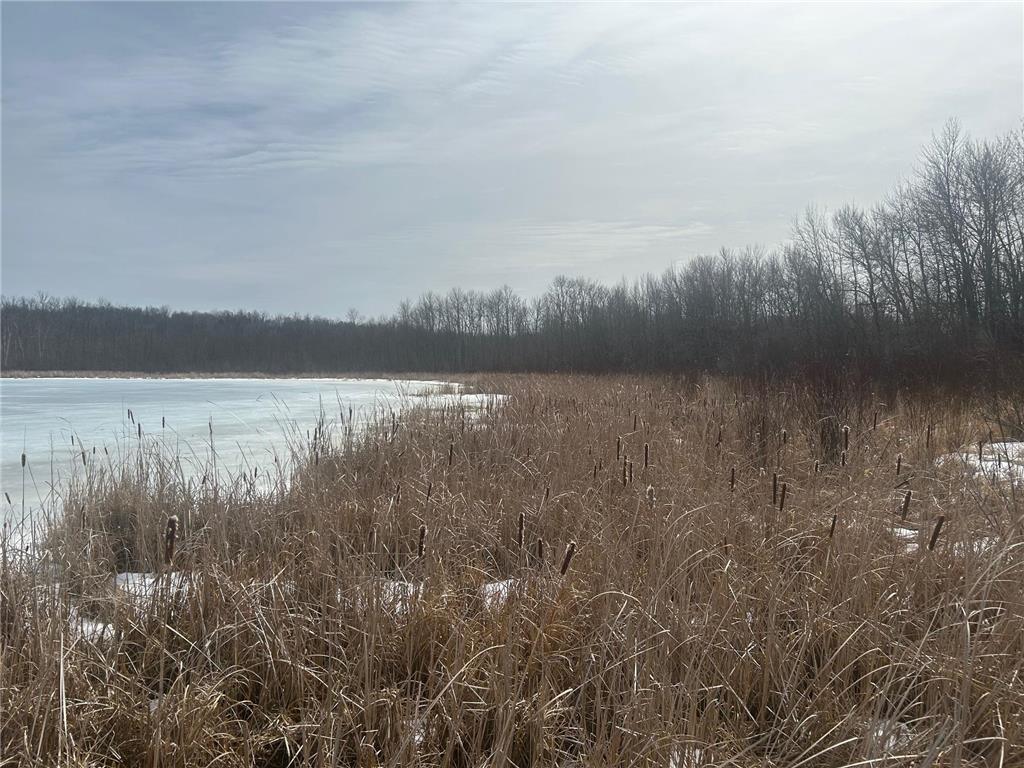 TBD TBD Hill City MN 55748 7042069 image6