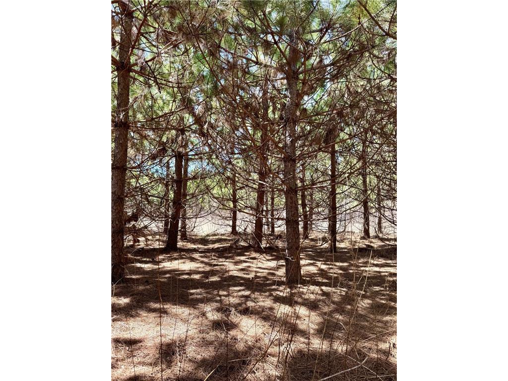 Lot 1 Scenic Hwy 7 Lawrence Twp MN 55709 7067795 image16