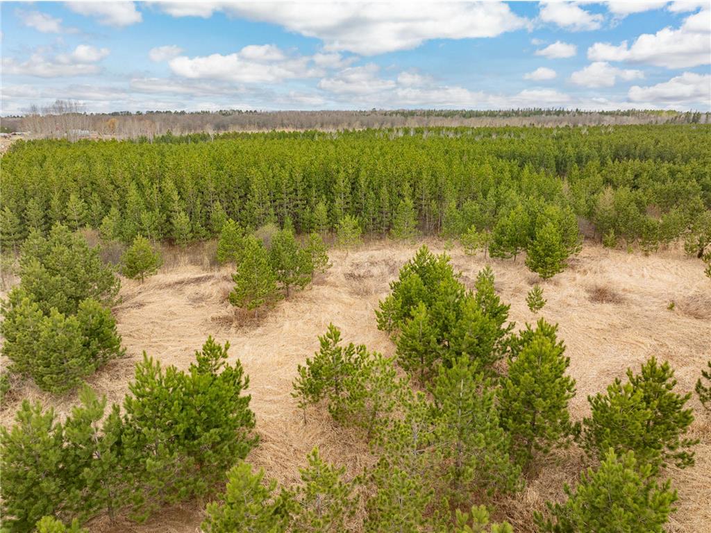 Lot 2 Scenic Hwy 7 Lawrence Twp MN 55709 7068413 image16