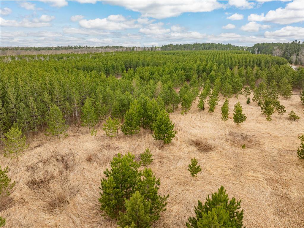 Lot 2 Scenic Hwy 7 Lawrence Twp MN 55709 7068413 image17