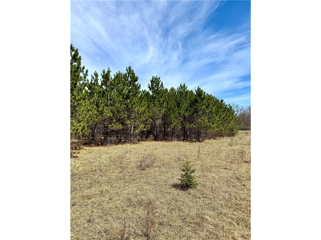 Lot 2 Scenic Hwy 7 Lawrence Twp MN 55709 7068413 image18