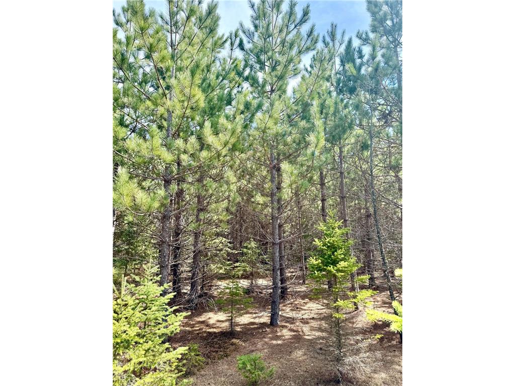 Lot 2 Scenic Hwy 7 Lawrence Twp MN 55709 7068413 image20