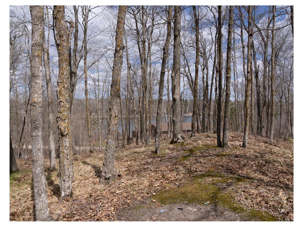 TBD TBD Little Elbow Twp MN 56566 - Bass Lake 6807506 image1