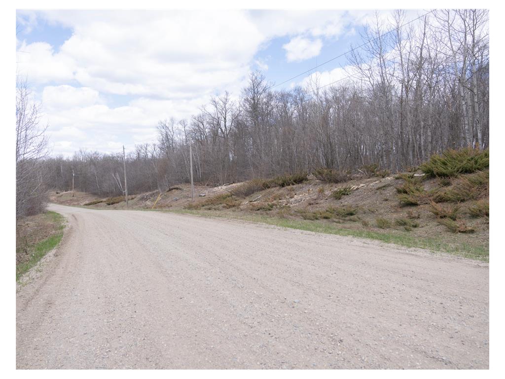 TBD TBD Little Elbow Twp MN 56566 - Bass Lake 6807506 image11