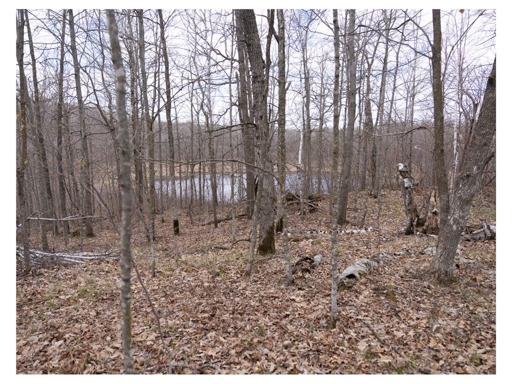 TBD TBD Little Elbow Twp MN 56566 - Bass Lake 6807506 image12