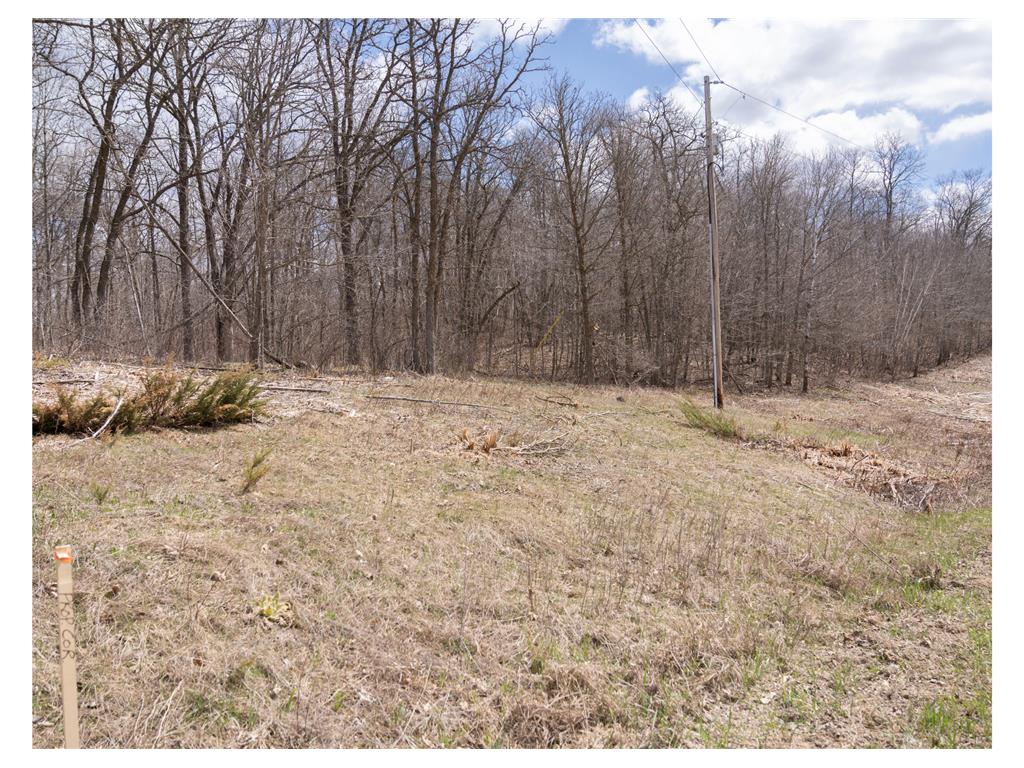 TBD TBD Little Elbow Twp MN 56566 - Bass Lake 6807506 image15