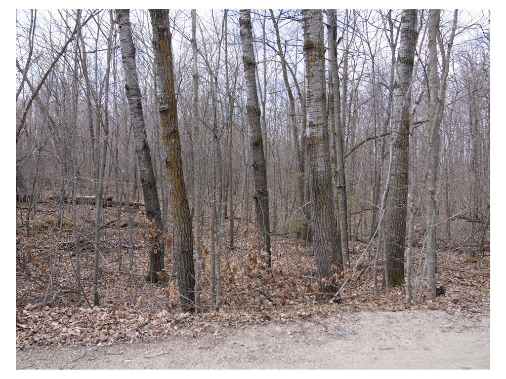TBD TBD Little Elbow Twp MN 56566 - Bass Lake 6807506 image17