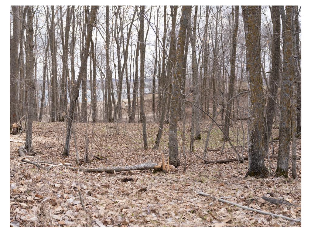 TBD TBD Little Elbow Twp MN 56566 - Bass Lake 6807506 image18