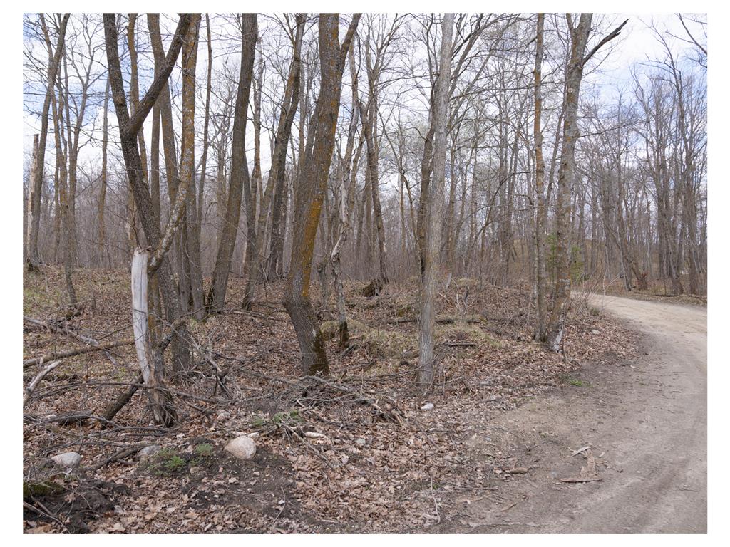 TBD TBD Little Elbow Twp MN 56566 - Bass Lake 6807506 image19