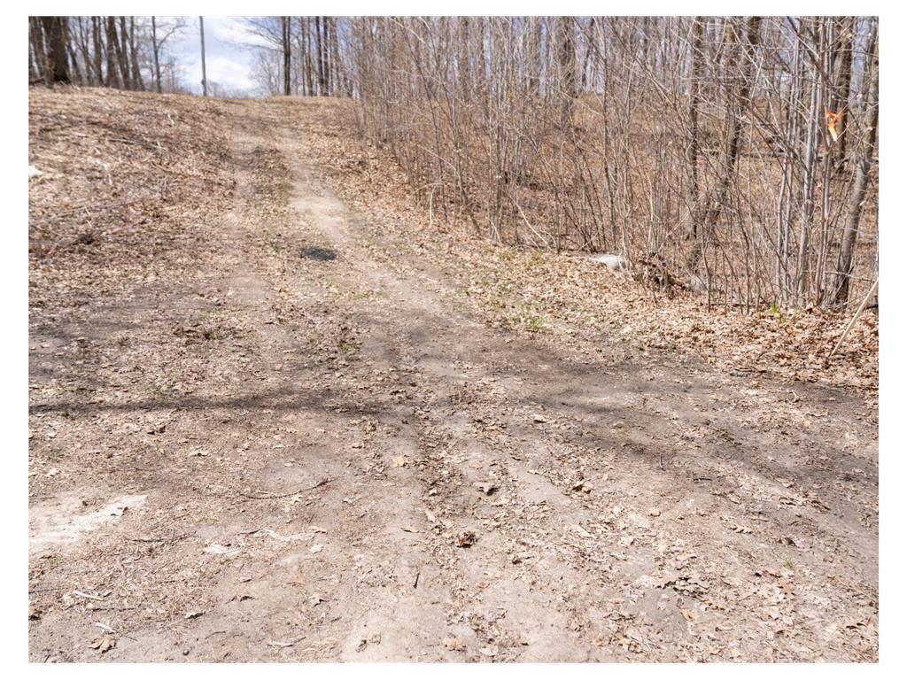 TBD TBD Little Elbow Twp MN 56566 - Bass Lake 6807506 image7