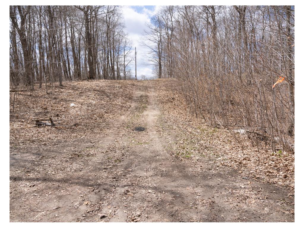 TBD TBD Little Elbow Twp MN 56566 - Bass Lake 6807506 image9
