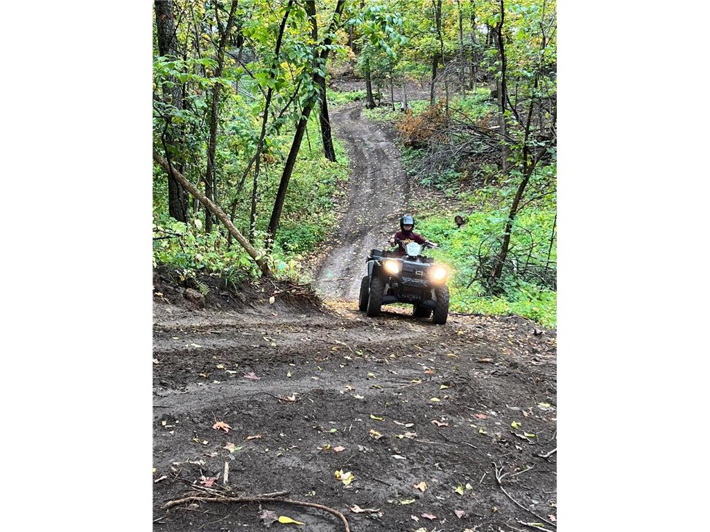 TBD TBD Mazeppa Twp MN 55956 6756726 image1