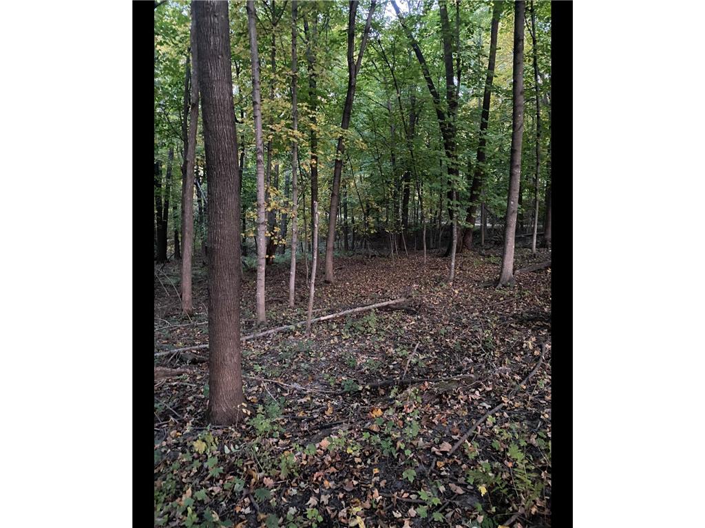 TBD TBD Mazeppa Twp MN 55956 6756726 image10