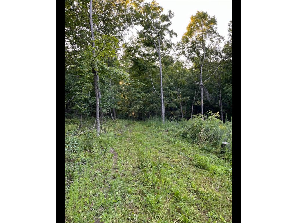 TBD TBD Mazeppa Twp MN 55956 6756726 image11