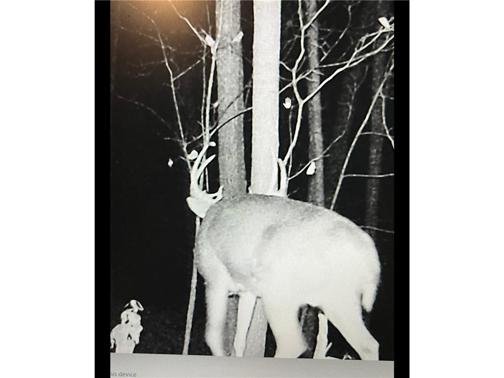 TBD TBD Mazeppa Twp MN 55956 6756726 image13