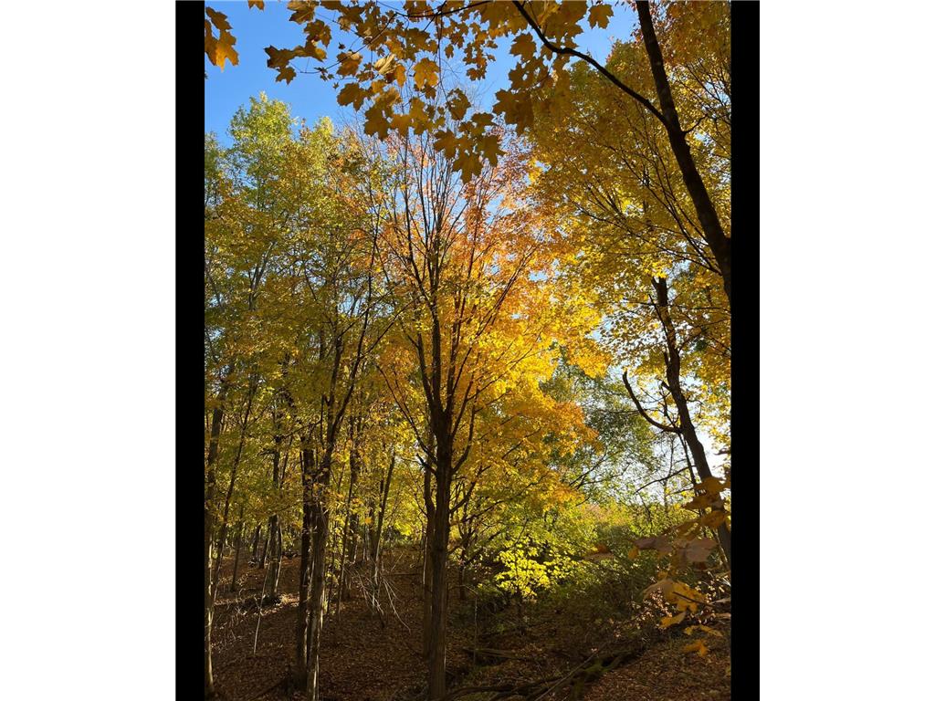 TBD TBD Mazeppa Twp MN 55956 6756726 image2