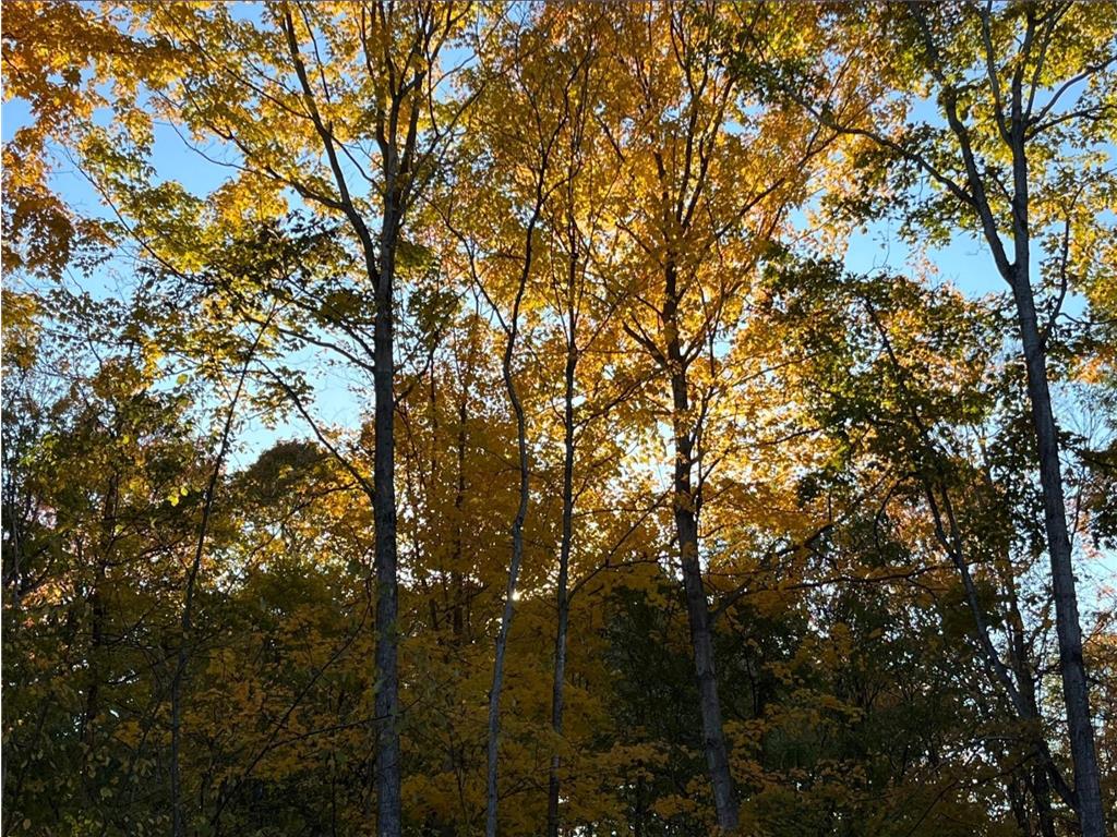 TBD TBD Mazeppa Twp MN 55956 6756726 image3