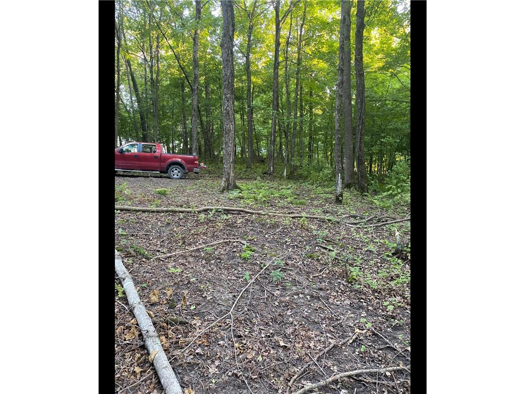 TBD TBD Mazeppa Twp MN 55956 6756726 image4