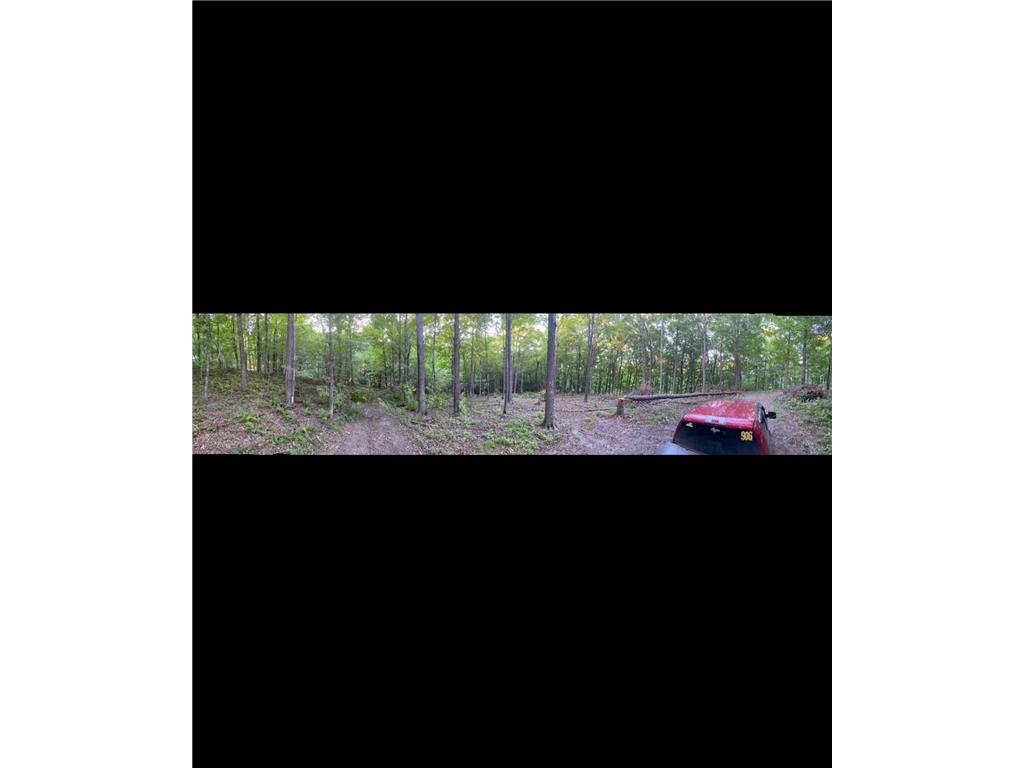 TBD TBD Mazeppa Twp MN 55956 6756726 image5