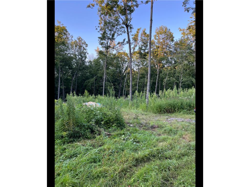 TBD TBD Mazeppa Twp MN 55956 6756726 image6
