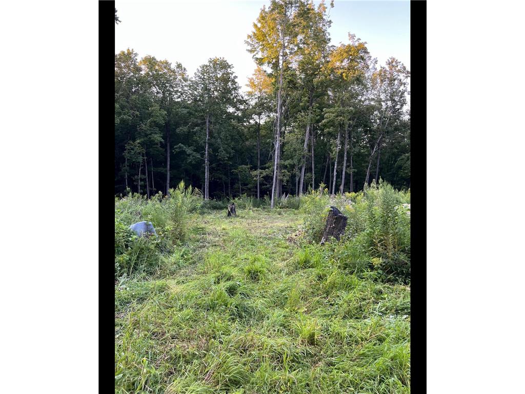 TBD TBD Mazeppa Twp MN 55956 6756726 image7