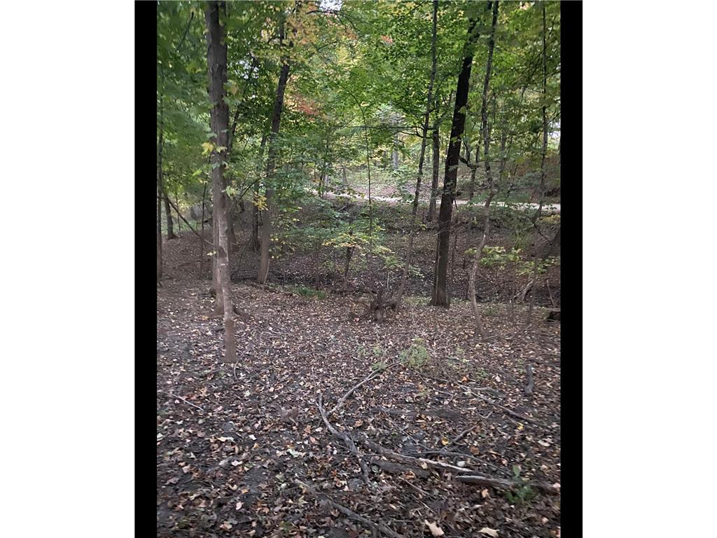 TBD TBD Mazeppa Twp MN 55956 6756726 image8