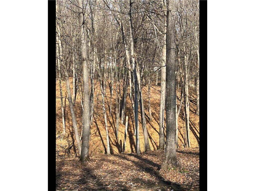 TBD TBD Mazeppa Twp MN 55956 6756726 image9