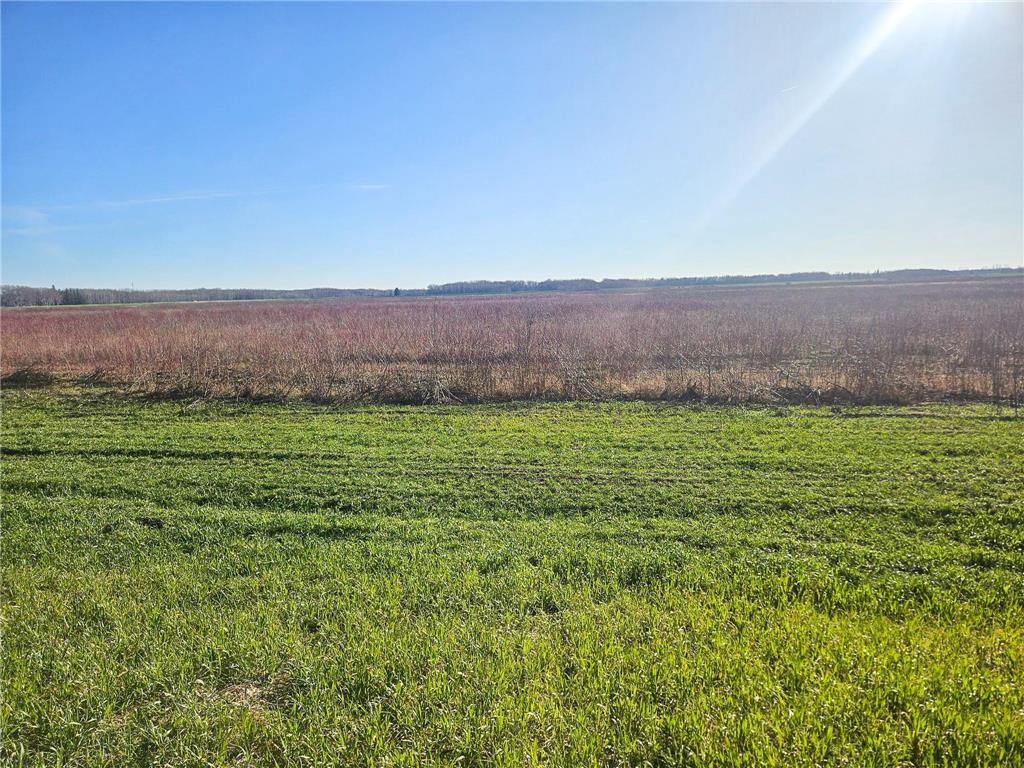 TBD TBD New Maine Twp MN 56738 6817842 image1