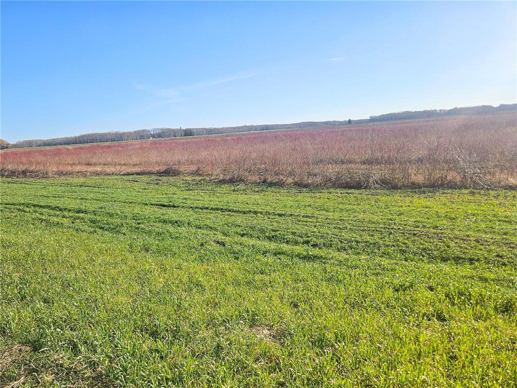 TBD TBD New Maine Twp MN 56738 6817842 image2