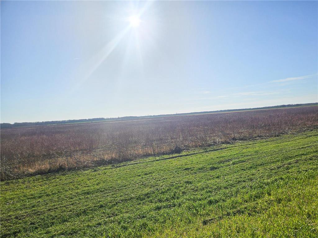 TBD TBD New Maine Twp MN 56738 6817842 image3