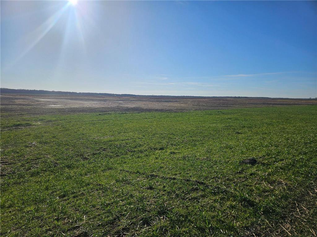 TBD TBD New Maine Twp MN 56738 6817842 image4