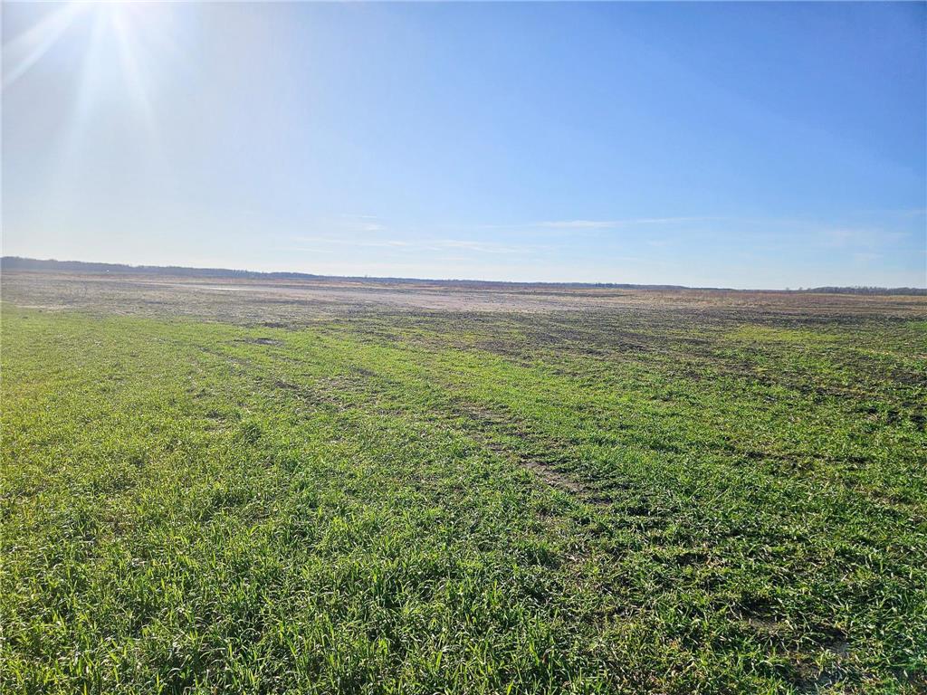 TBD TBD New Maine Twp MN 56738 6817842 image5