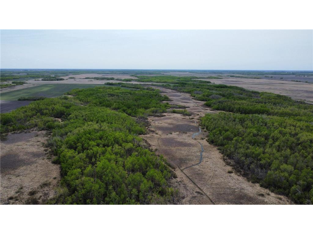 TBD 150th Avenue New Solum Twp MN 56738 6583649 image1