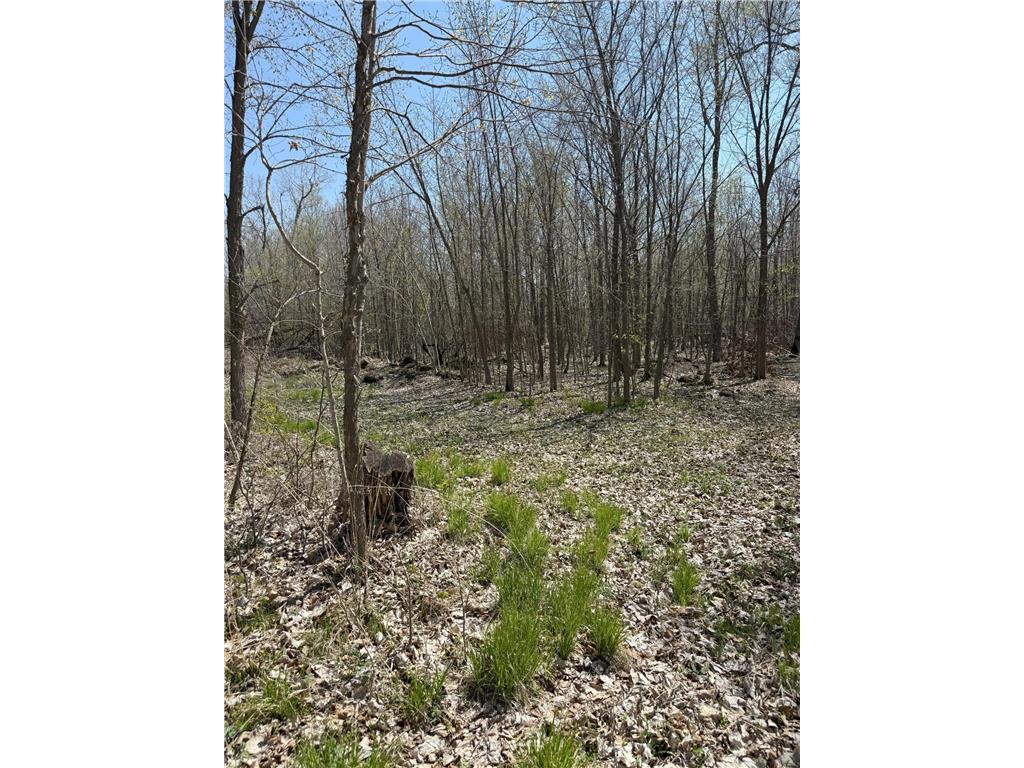 TBD TBD Otter Tail Twp MN 56571 - Long Lake 6706045 image10