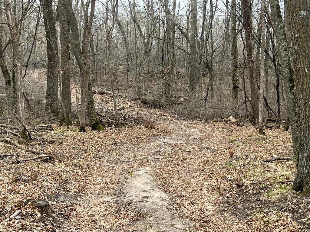 TBD TBD Paynesville Twp MN 56362 6508107 image1