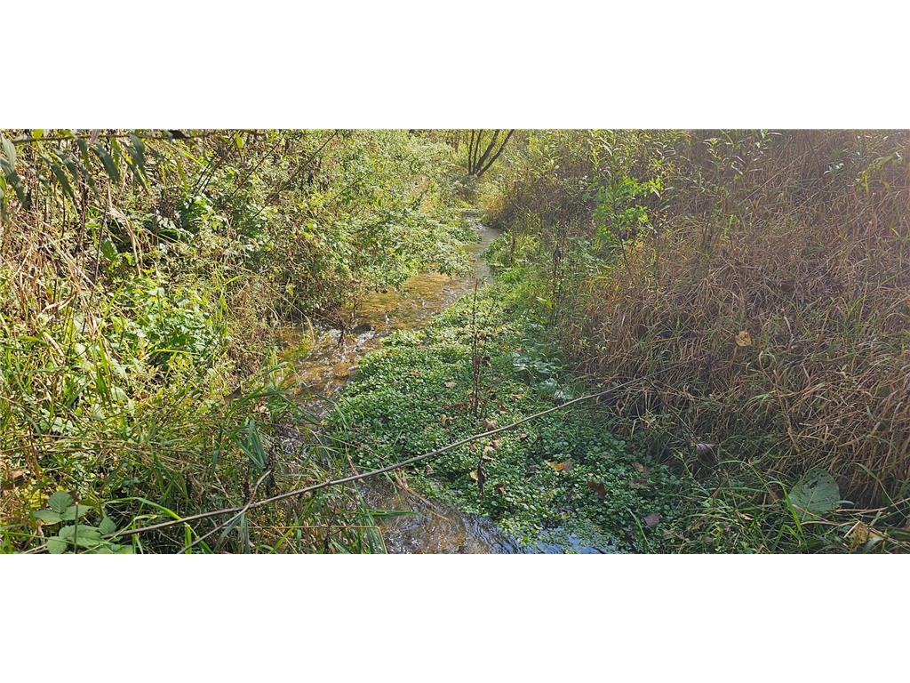 TBD Cty 27 Rushford MN 55971 6443731 image1