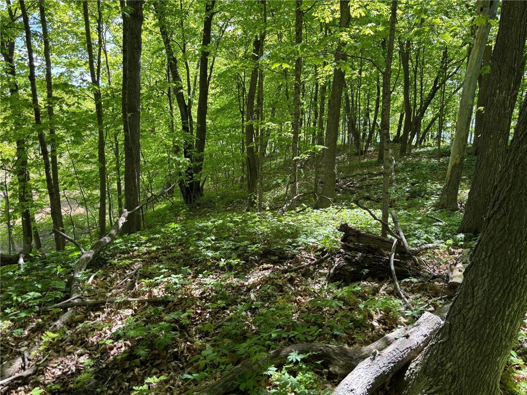 TBD TBD Walker MN 56655 - Leech Lake 6730891 image10