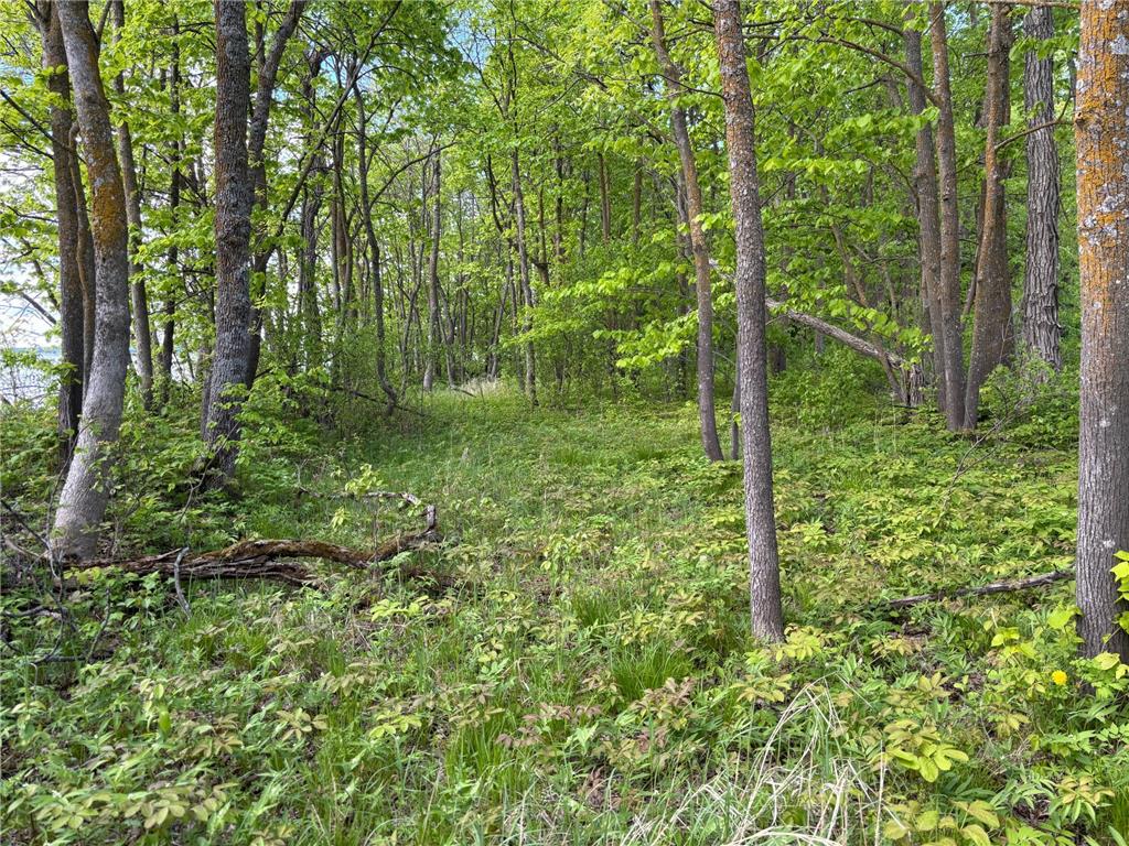 TBD TBD Walker MN 56655 - Leech Lake 6730891 image11