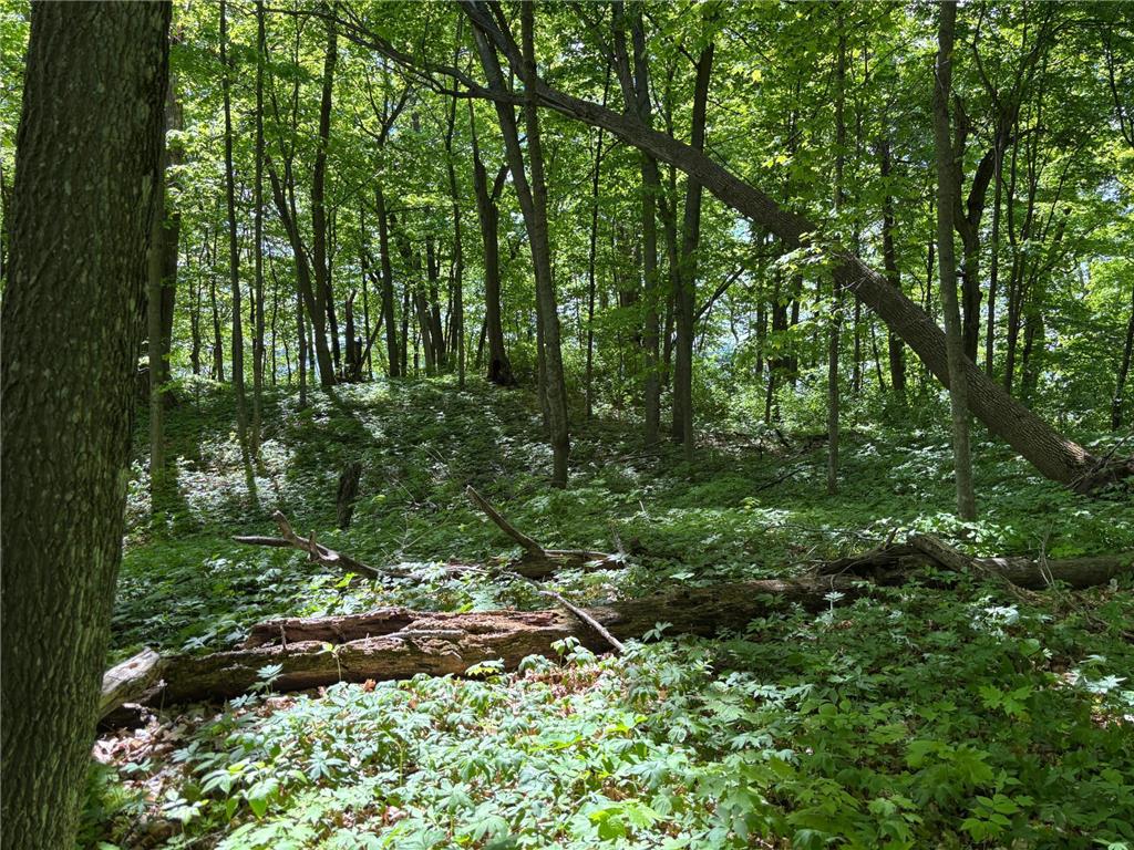 TBD TBD Walker MN 56655 - Leech Lake 6730891 image12