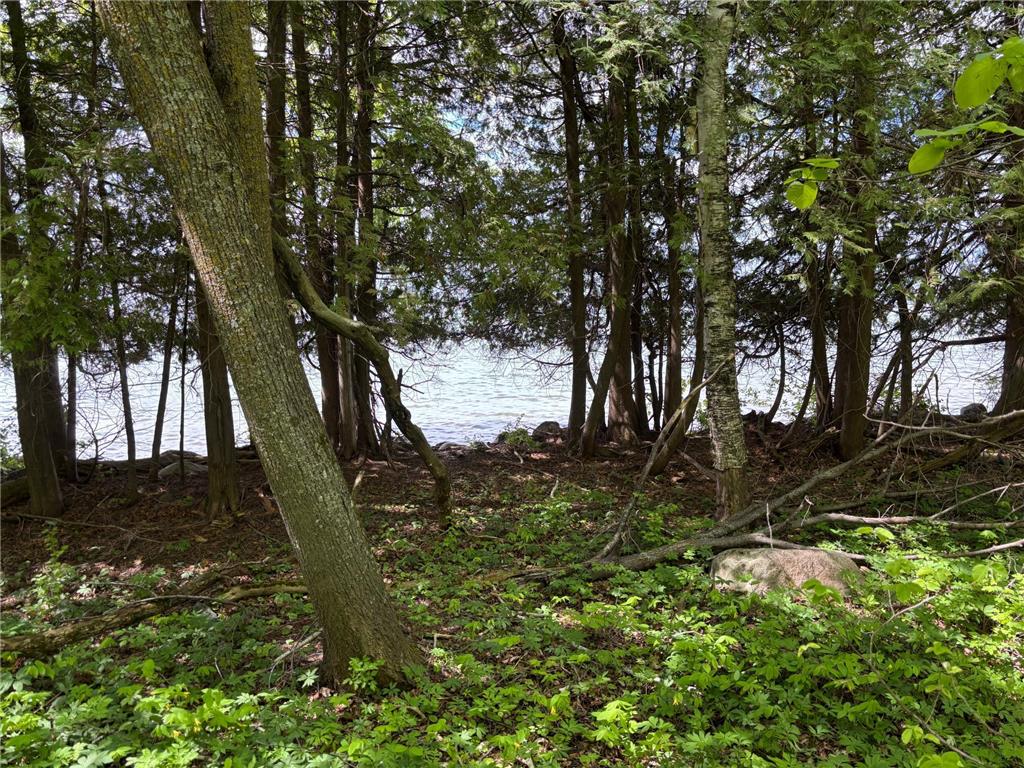 TBD TBD Walker MN 56655 - Leech Lake 6730891 image13