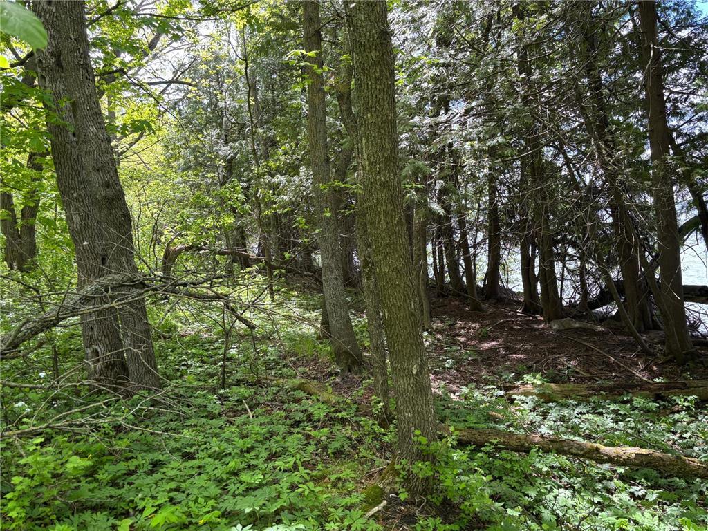 TBD TBD Walker MN 56655 - Leech Lake 6730891 image14