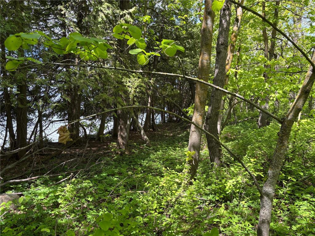 TBD TBD Walker MN 56655 - Leech Lake 6730891 image15