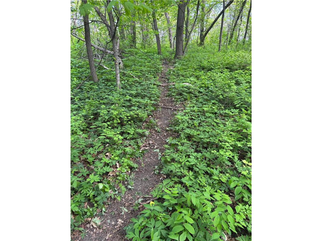 TBD TBD Walker MN 56655 - Leech Lake 6730891 image20