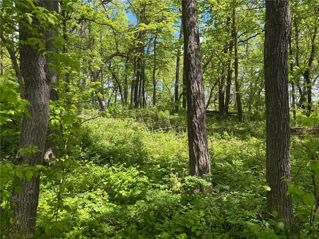 TBD TBD Walker MN 56655 - Leech Lake 6730891 image21