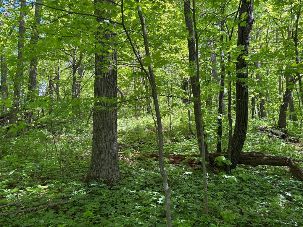 TBD TBD Walker MN 56655 - Leech Lake 6730891 image22