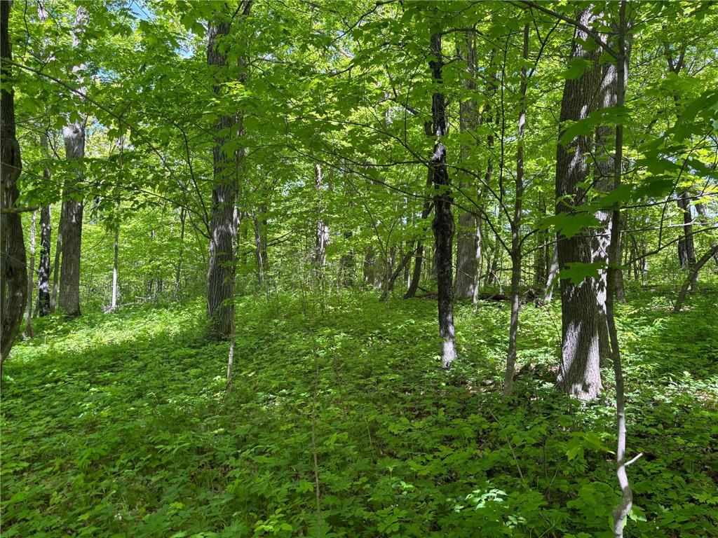 TBD TBD Walker MN 56655 - Leech Lake 6730891 image23