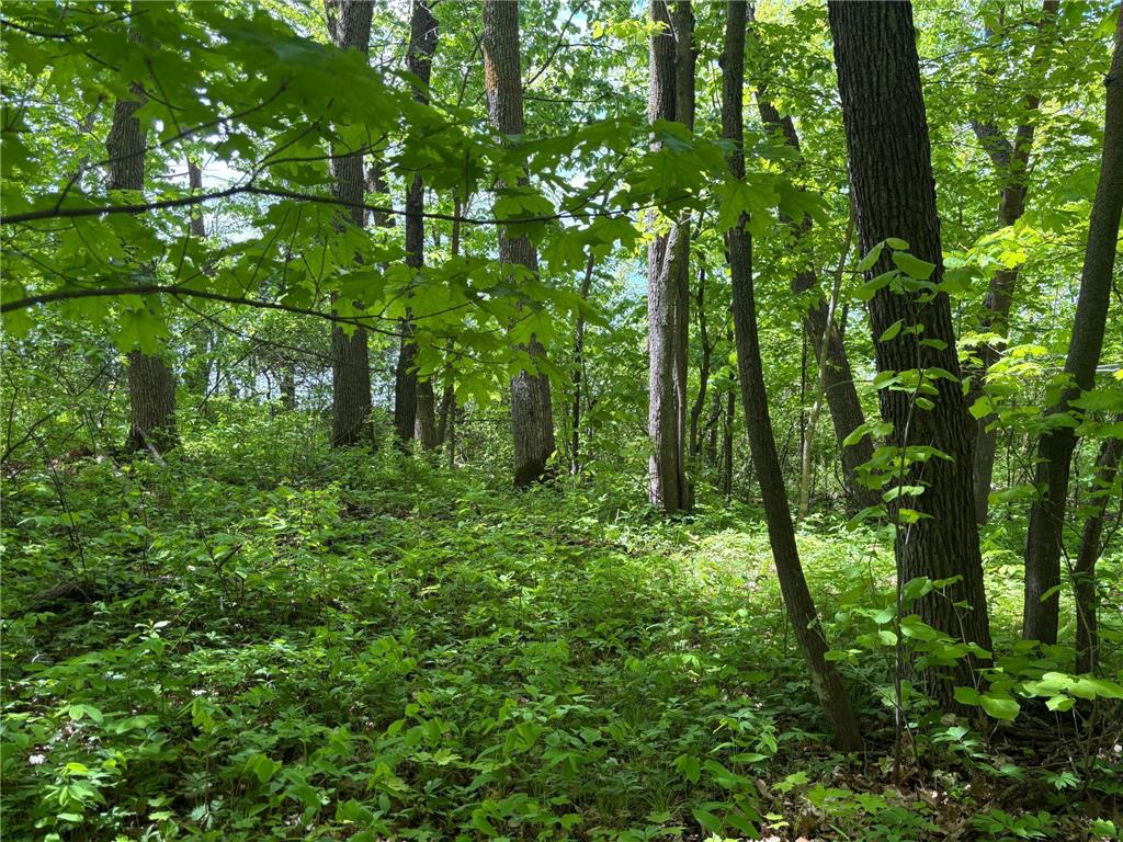 TBD TBD Walker MN 56655 - Leech Lake 6730891 image24