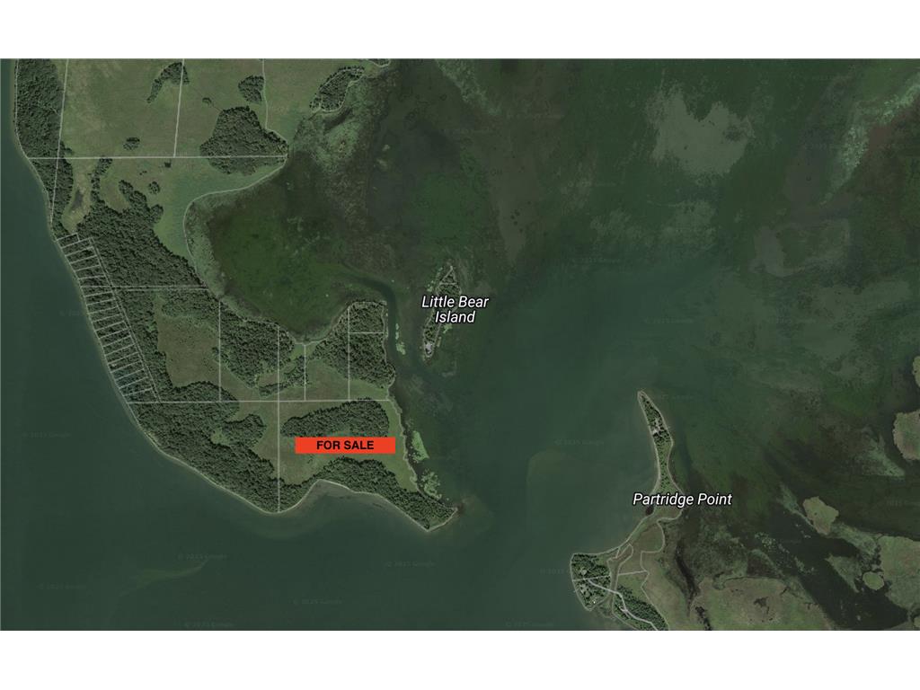 TBD TBD Walker MN 56655 - Leech Lake 6730891 image4