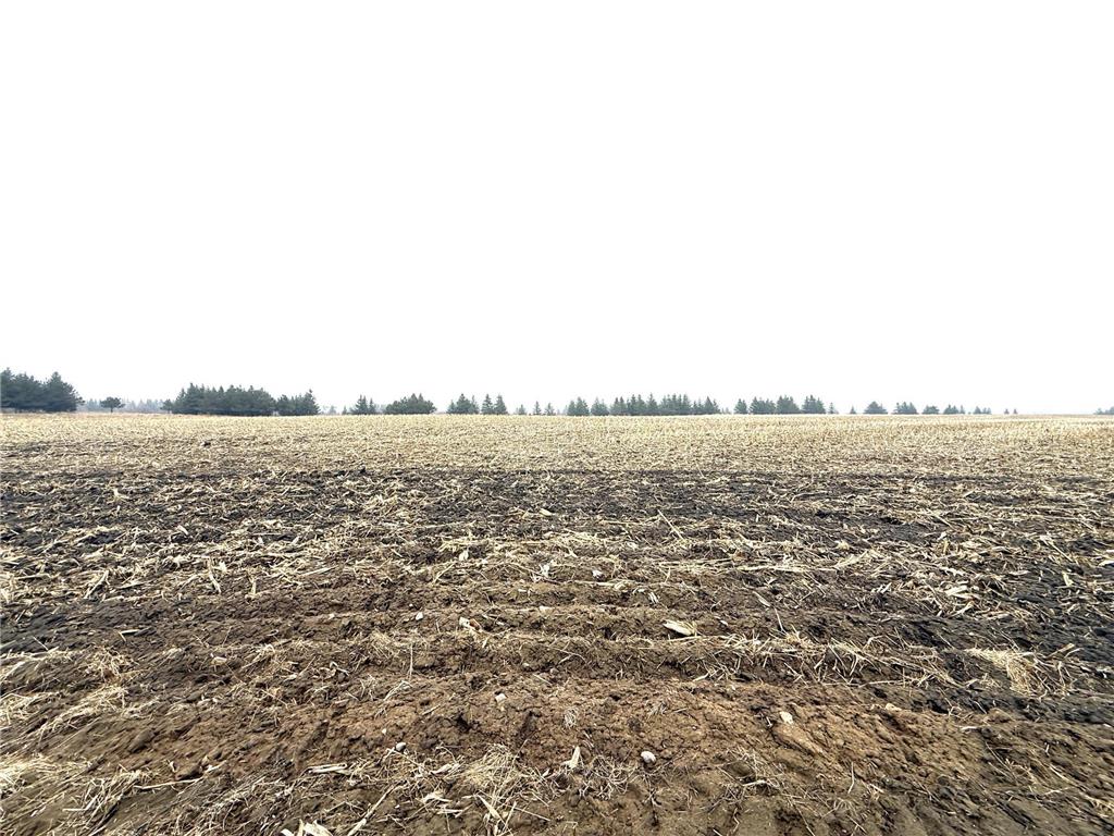 TBD Tadpole Rd Perham MN 56573 7058209 image6