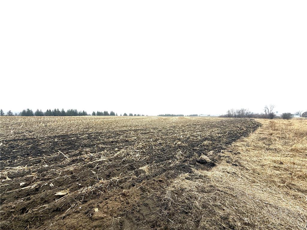 TBD Tadpole Rd Perham MN 56573 7058209 image7